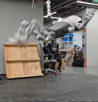Ludu 3 humanoid robot